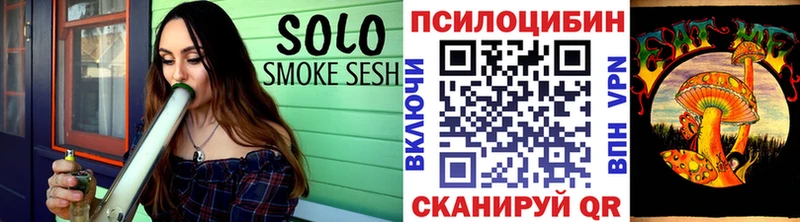 купить  сайты  Тосно  Псилоцибиновые грибы Magic Shrooms 