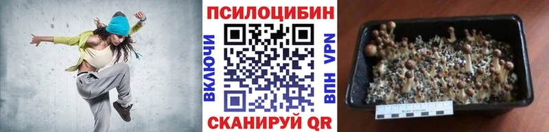 Галлюциногенные грибы GOLDEN TEACHER Тосно